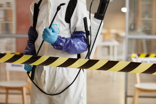 Professional Sewage Cleanup technician working in Carson City, MI